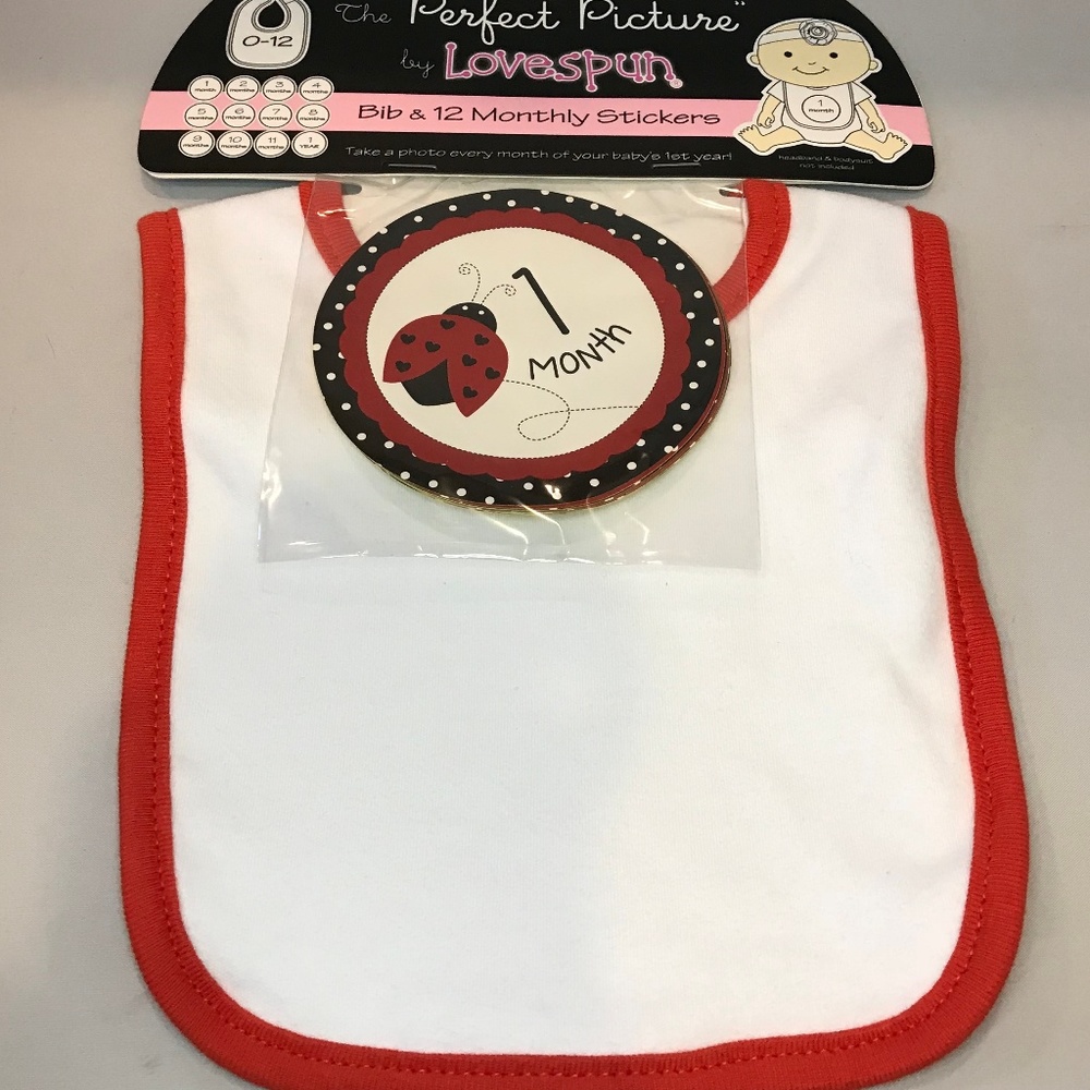 The Perfect Picture by LoveSpun Bib NWT